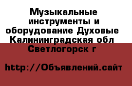 Музыкальные инструменты и оборудование Духовые. Калининградская обл.,Светлогорск г.